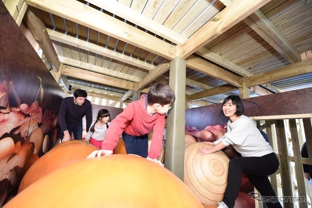 森感覚アスレチック DOKIDOKI