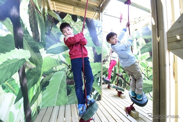 森感覚アスレチック DOKIDOKI