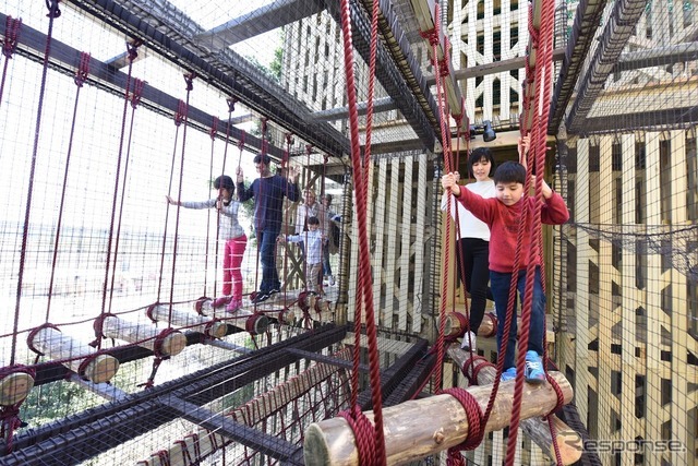 森感覚アスレチック DOKIDOKI