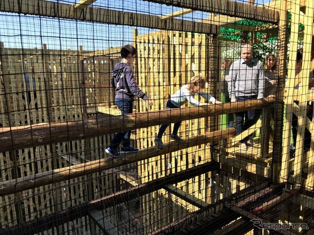 森感覚アスレチック DOKIDOKI