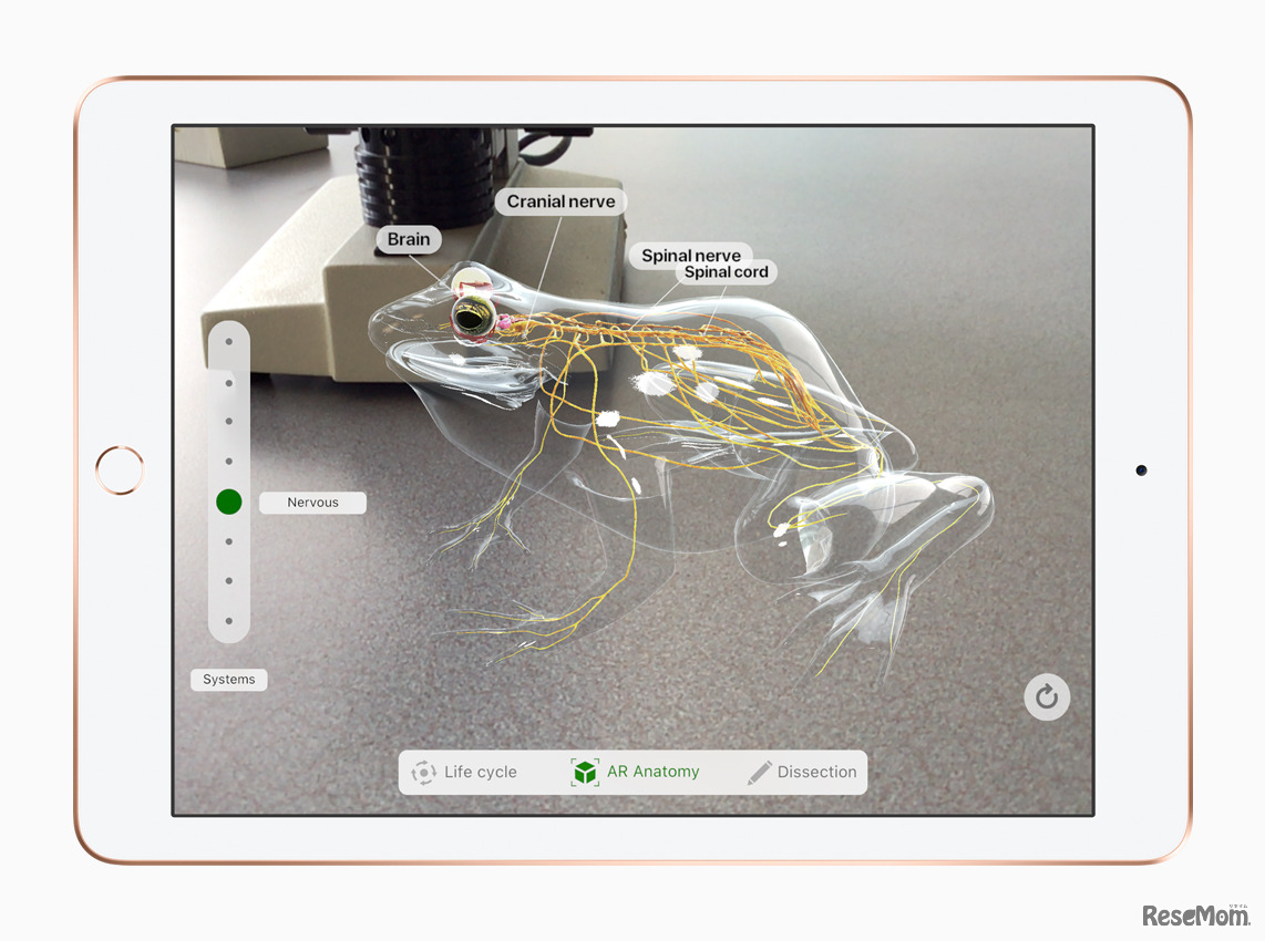ARアプリケーションの利用にも対応
