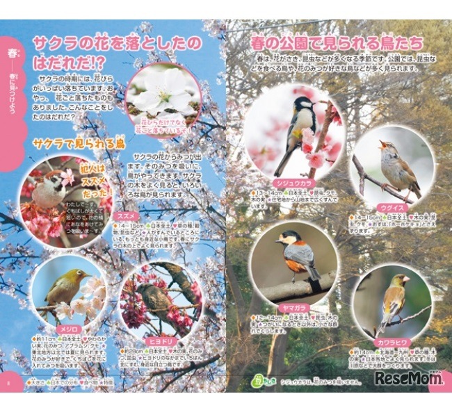 春に集まる生き物