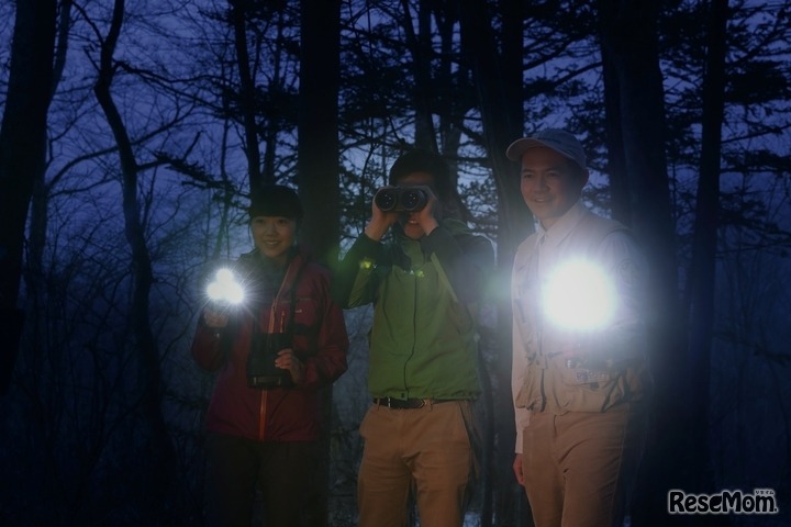 「ワイルドサファリツアー」イメージ