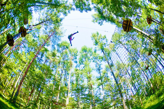 自然共生型アウトドアパーク「フォレストアドベンチャー」が北海道に初上陸