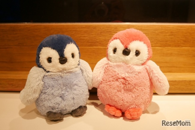 ペンギンヒナぬいぐるみ