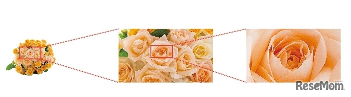 ズーム画像（イメージ）