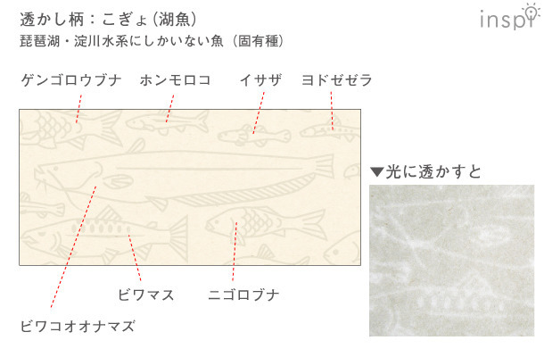 【びわこ一筆箋】こぎょ