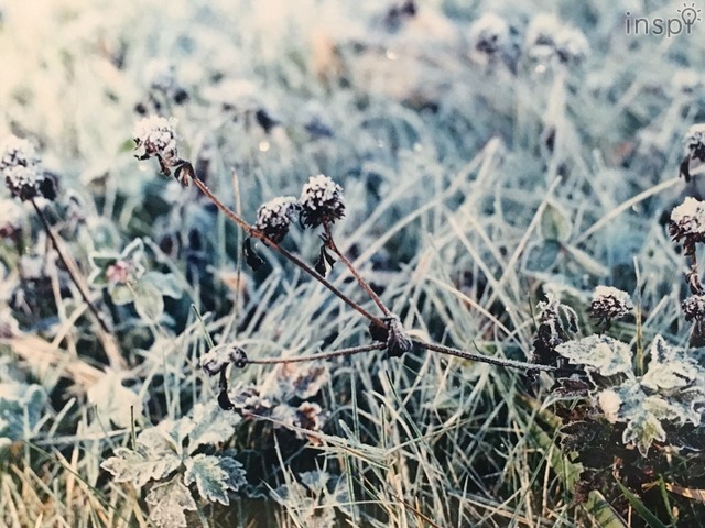 野川かさね作品。