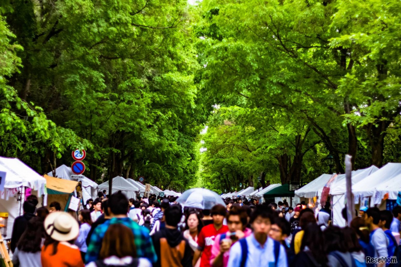 北大祭のメインストリート