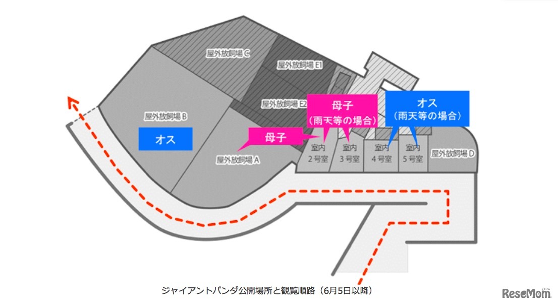 ジャイアントパンダ公開場所と観覧順路（2018年6月5日以降）