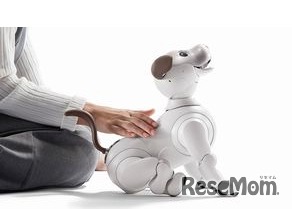 aiboとふれあい体験