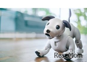 家族とaiboの特別写真館