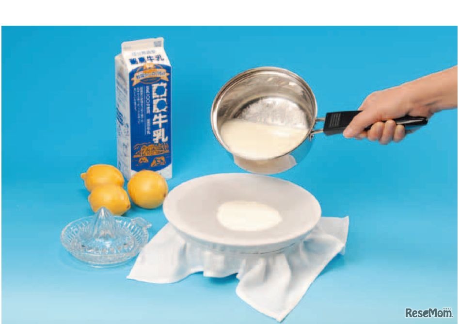 【化学】乳製品に含まれるタンパク質の性質を調べる～牛乳からチーズを作ろう～（中学生向け）