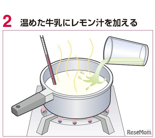 カッテージチーズをつくる　手順2