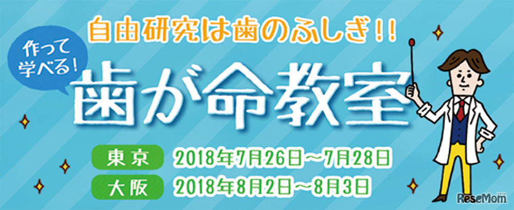 自由研究は歯のふしぎ！作って学べる歯が命教室