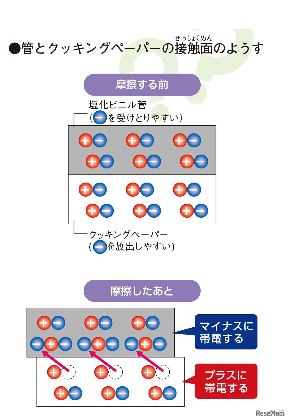 管とクッキングペーパーの接触面のようす