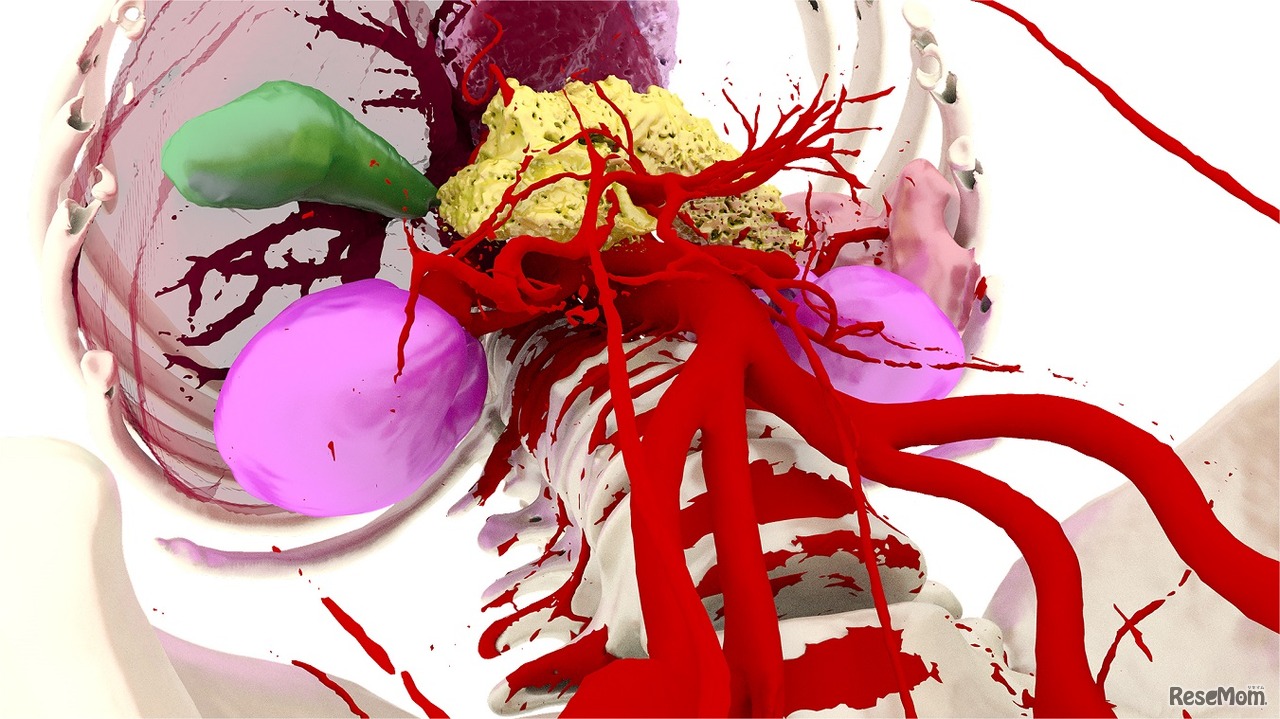 VRコンテンツ「人体の内部へ潜入！」