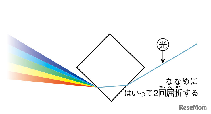 観察でサイエンス
