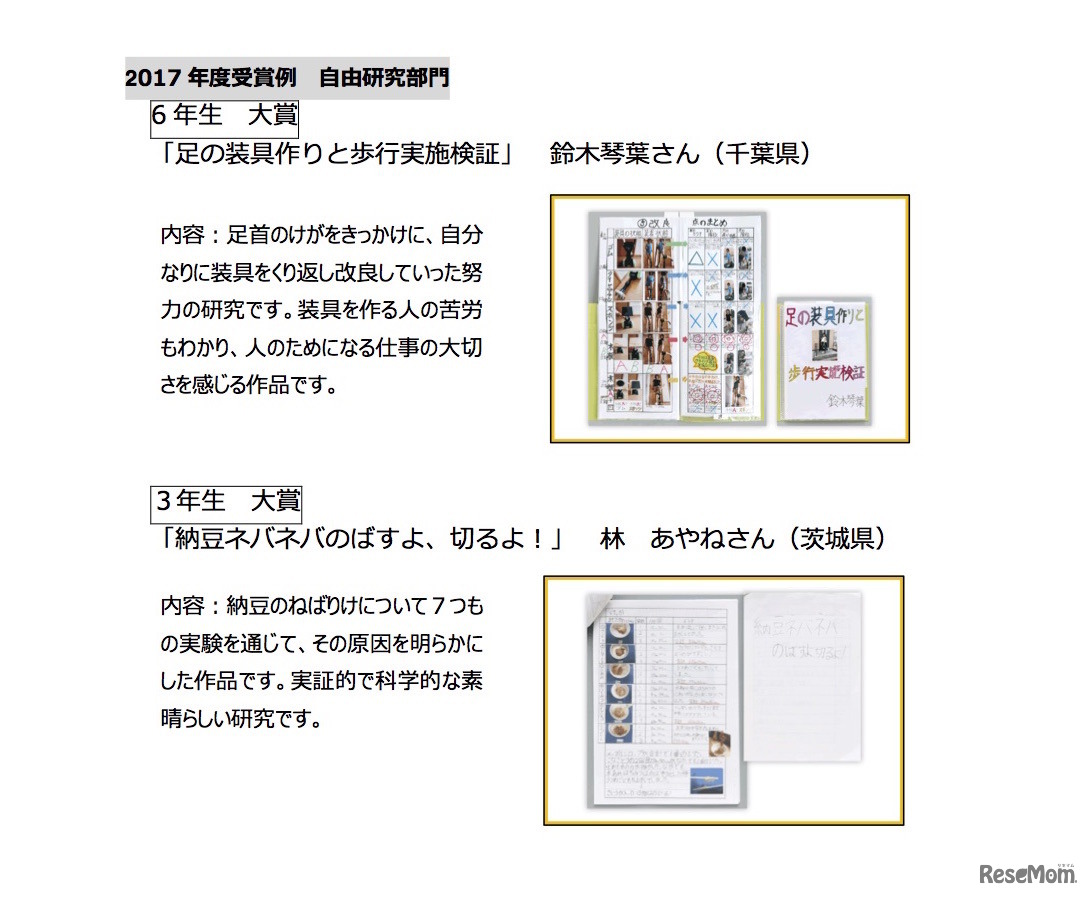 2017年度受賞例＜自由研究部門・大賞＞