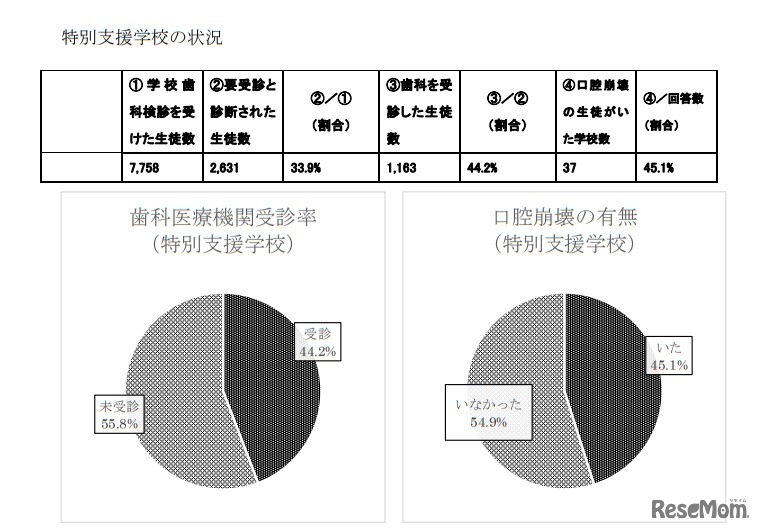 特別支援学校の状況