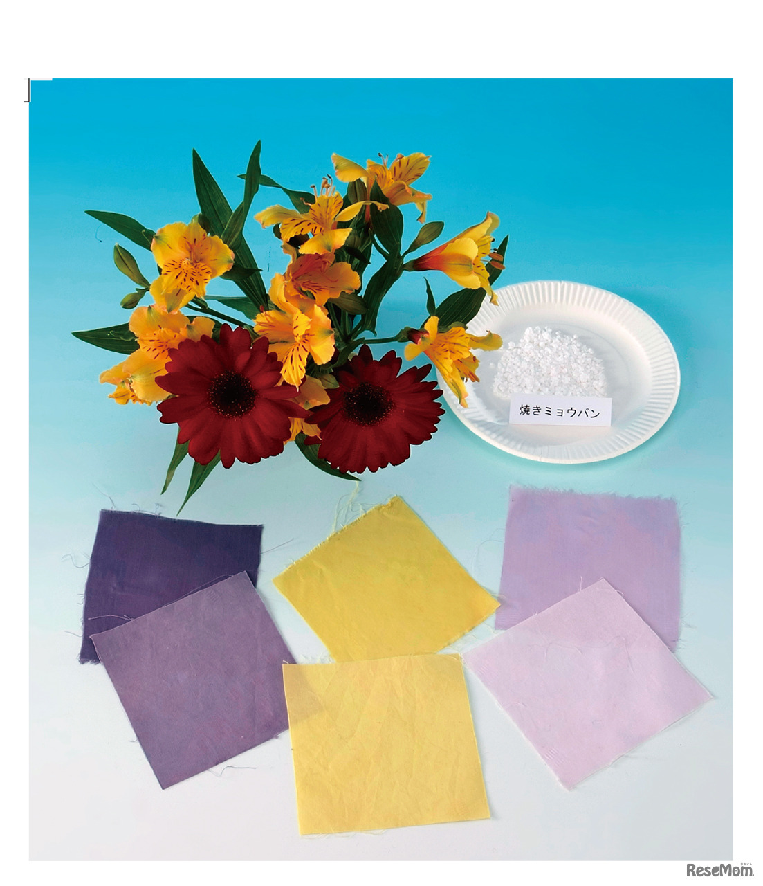 画像提供：中学生の理科 自由研究 チャレンジ編 改訂版（学研）