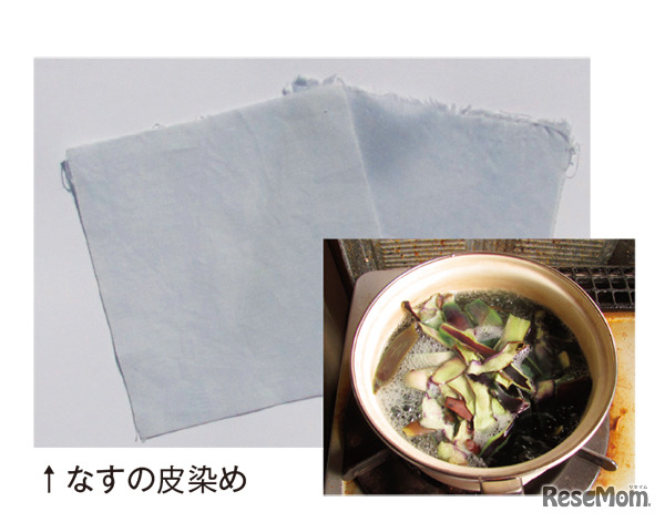 染まったようす