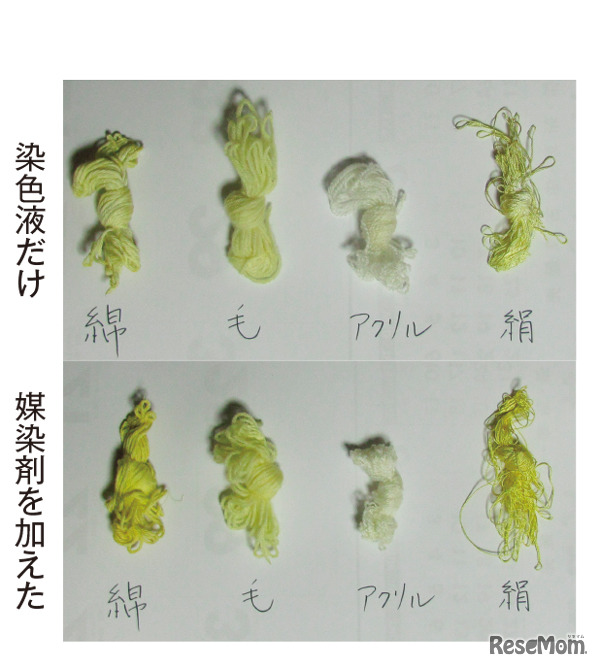 染まったようす