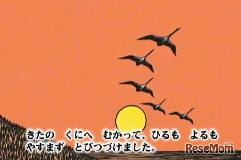 おおはくちょうのそら