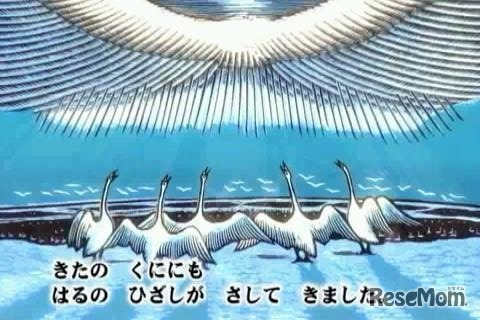 おおはくちょうのそら