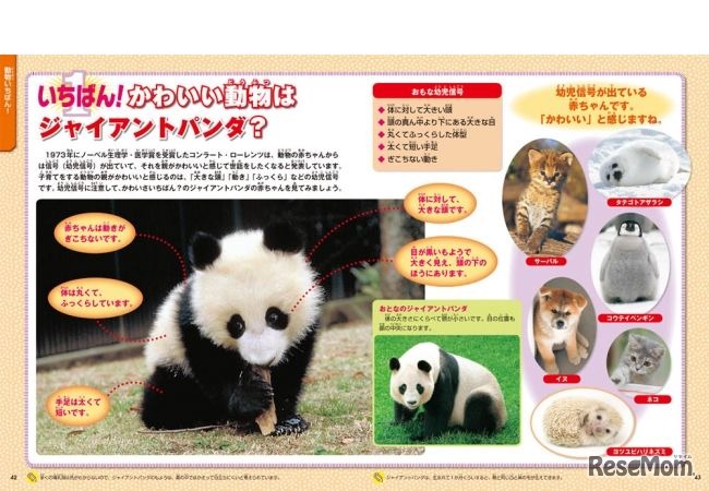 学研プラス　学研の図鑑LIVEスペシャル「新版 いちばん！の図鑑（DVDつき）」　読んで楽しいコラム、豆知識も充実