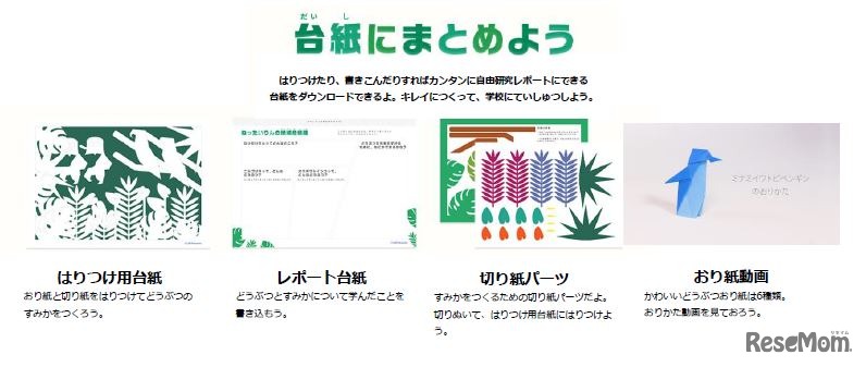 CLUB Panasonic「てづくりどうぶつ自由研究 ペーパープラネット」で利用するもの