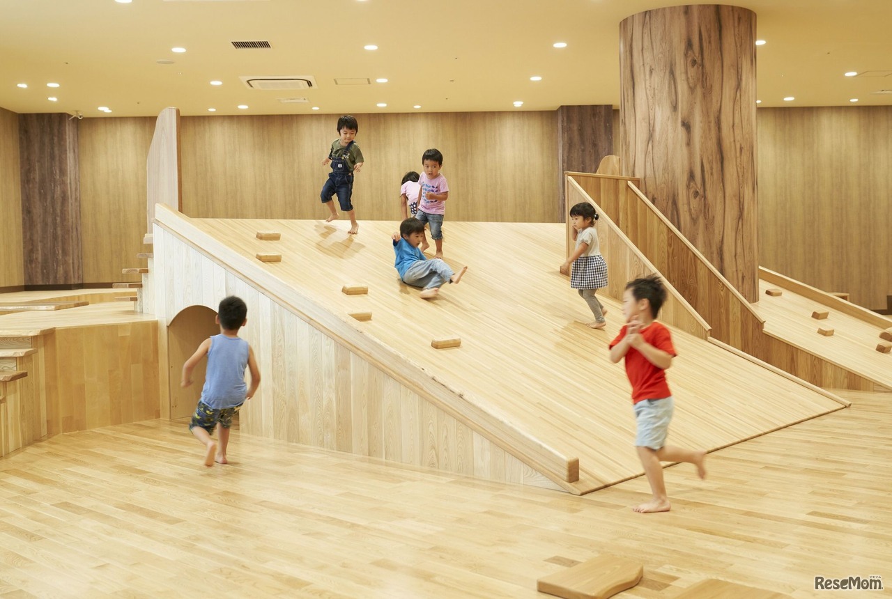 森のゾーン＜岩山＞　撮影：山根朋子