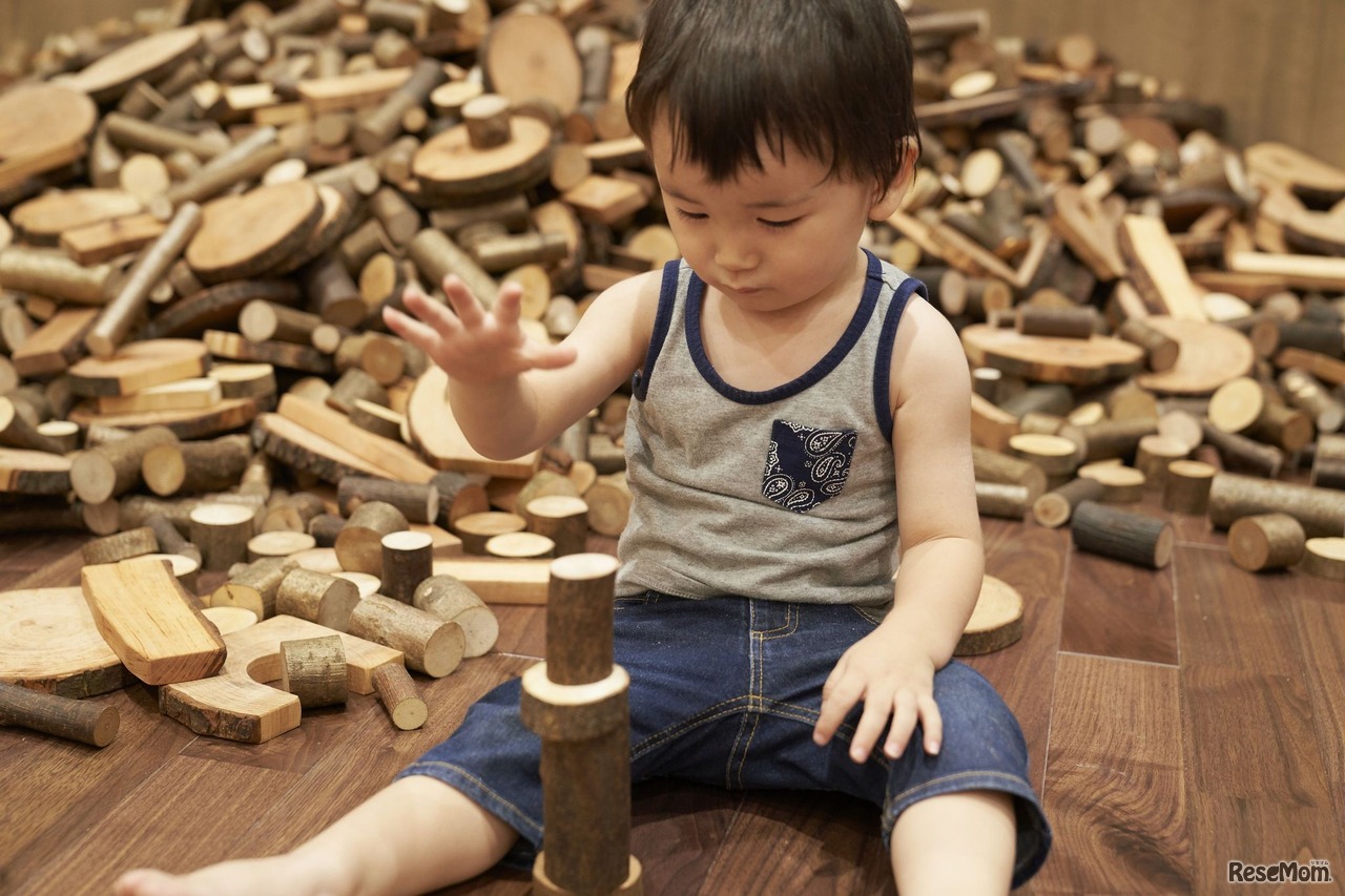 森のゾーン＜森のつみき＞　撮影：山根朋子