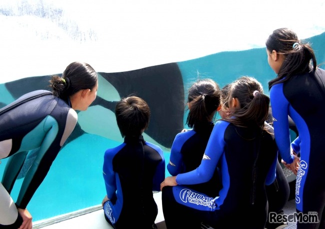 鴨川シーワールド「ジュニアトレーナー」