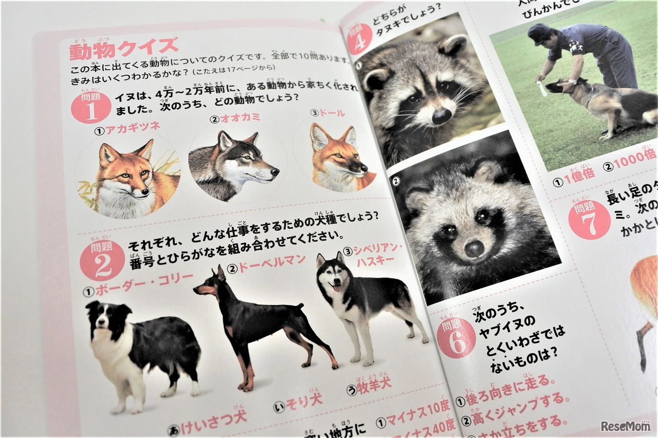 ミニ図鑑の巻末にあるオリジナルクイズ