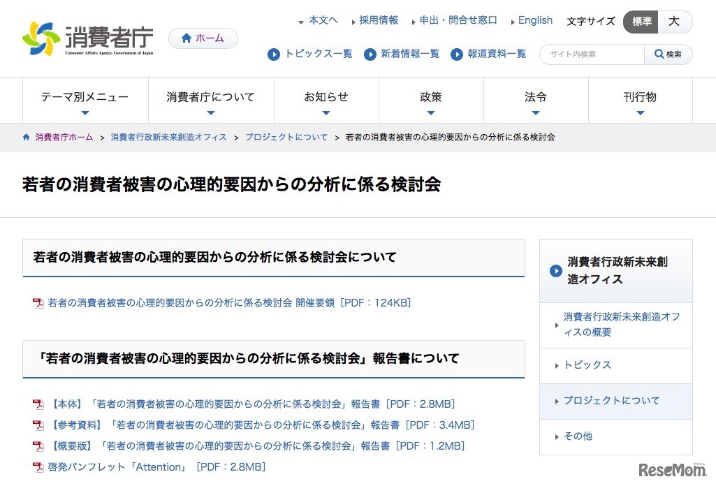 消費者庁「若者の消費者被害の心理的要因からの分析に係る検討会」