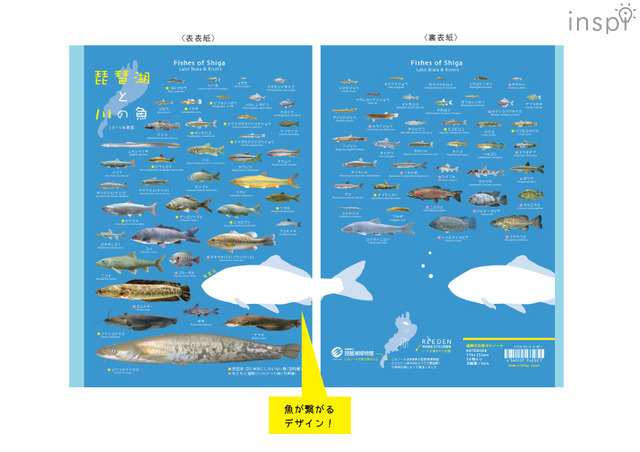 【滋賀のお魚ヨシノート】繋がるお魚