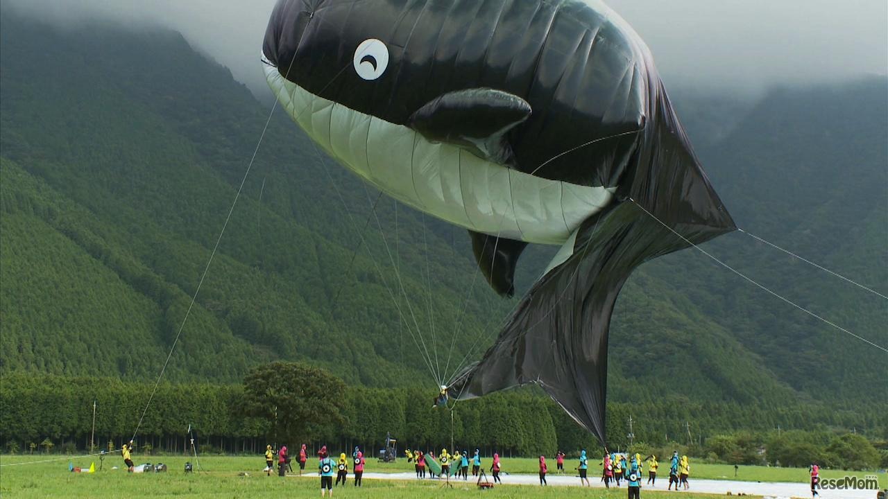 写真はイメージです