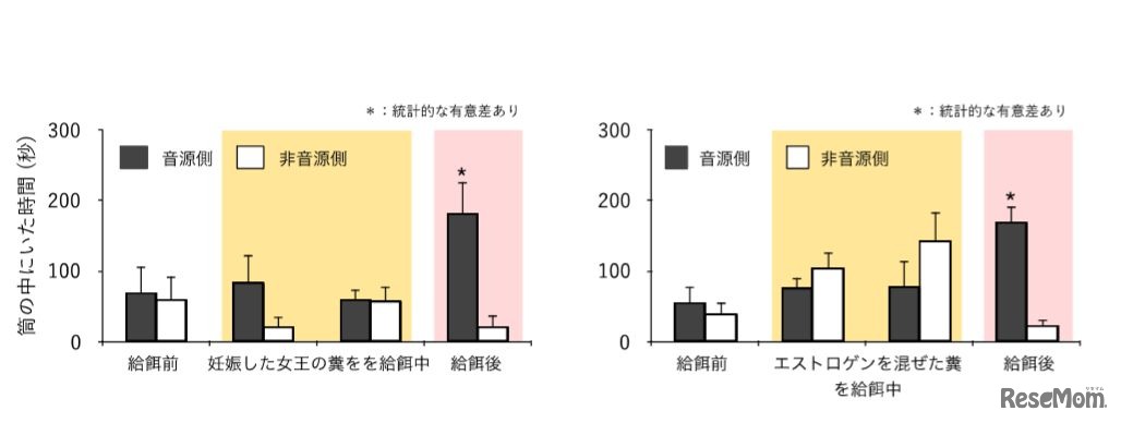 妊娠した女王の糞およびエストロゲンを混ぜた糞を食べることで働きネズミの仔ネズミの鳴き声に対する反応性が高まる