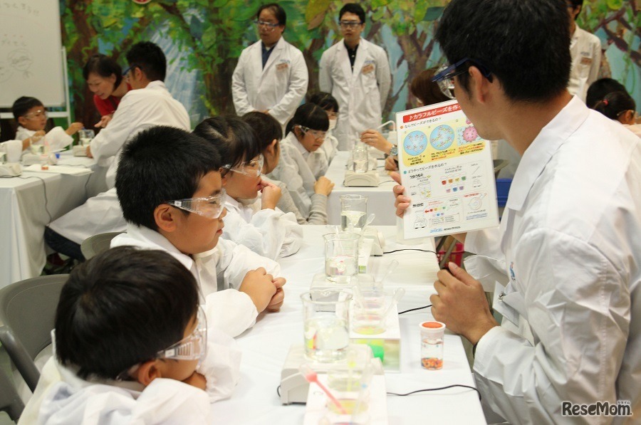 「化学の日子ども化学実験ショー2017」のようす