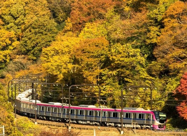 紅葉シーズンの高尾線を行く5000系。
