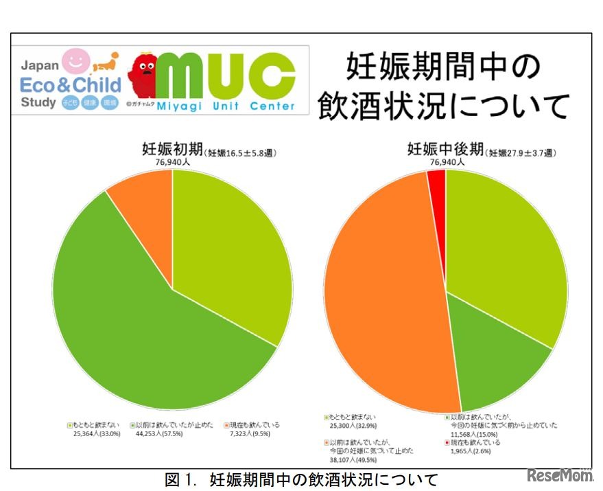 妊娠期間中の飲酒状況について
