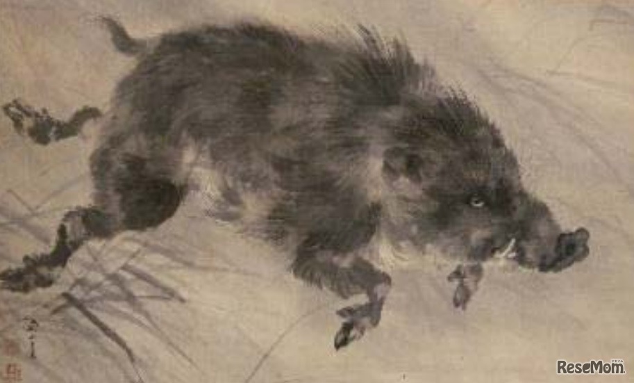 「博物館に初もうで」展示作品 岸連山筆「猪図」