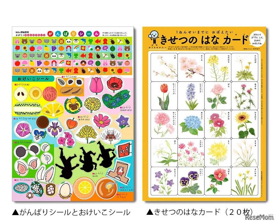 【左】がんばりシール・おけいこシール 【右】きせつのはなカード