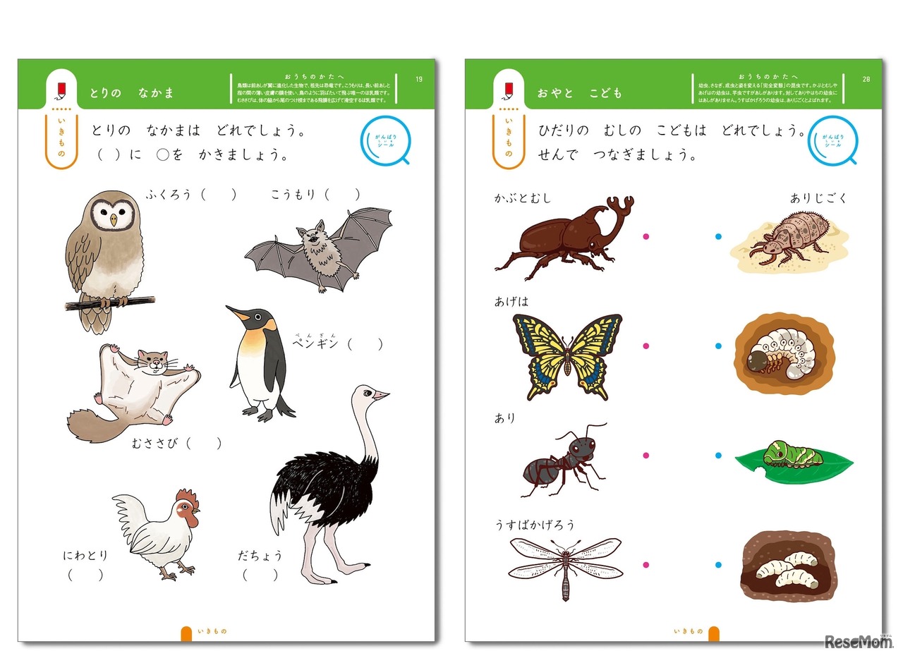 「いきもの」ページ イメージ