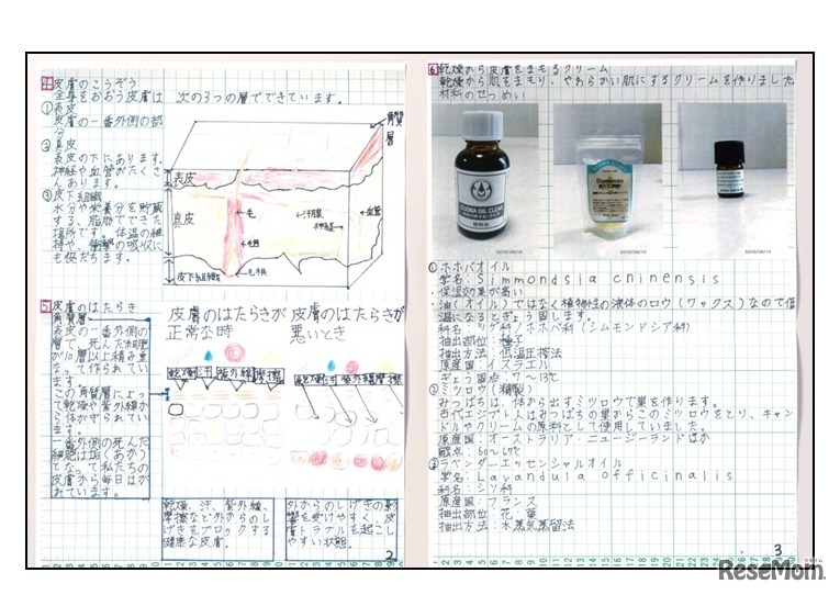 第1回夏休み宿題・自由研究大作戦大賞 サポーター賞「皮膚の研究」