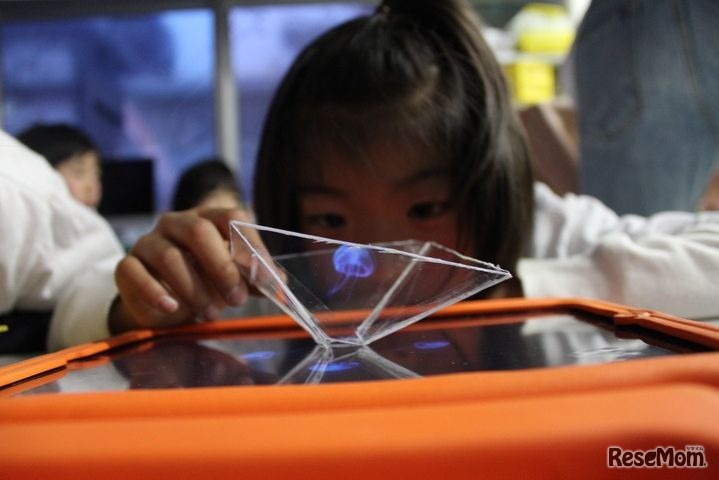 ユニークなプログラムの数々