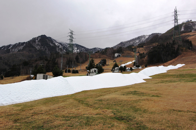 苗場スキー場、12/8に冬季営業オープン…人工造雪機による雪撒き作業開始