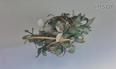 ラフイユ（植物）愛知の山の近くにある植物にまつわる古く小さなアトリエです。各地を巡り、ラフイユという場を表現しております。植物とは、既に完成された美。私どもラフイユでは植物本来の魅力を損なわないよう心がけております。