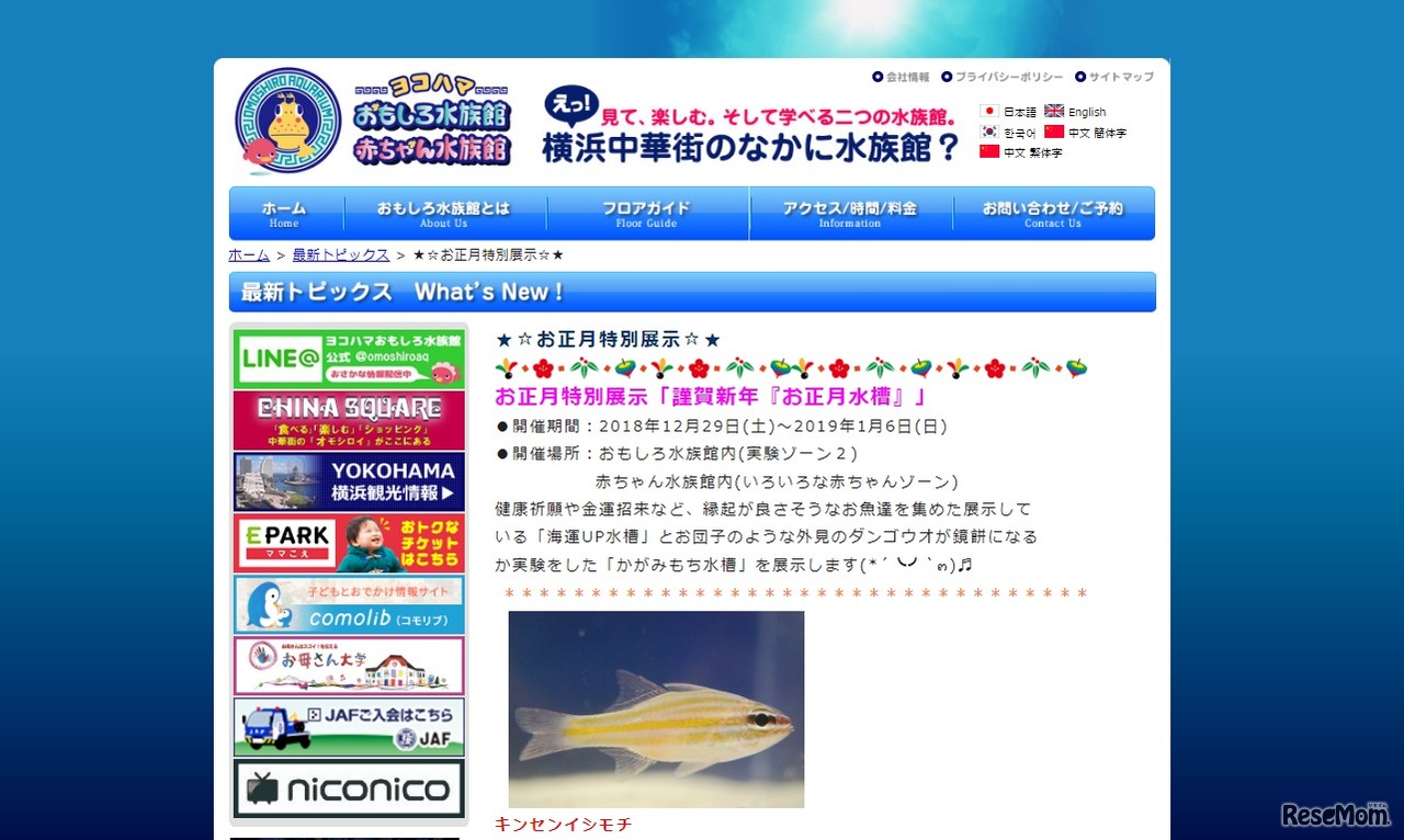 お正月特別展示